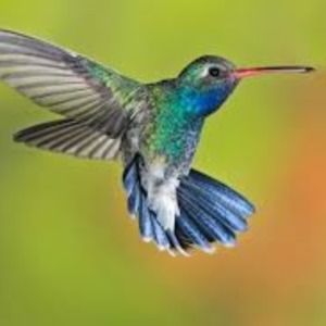 Meet your Posher, Stacey